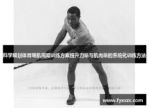 科学规划体育增肌周期训练方案提升力量与肌肉量的系统化训练方法