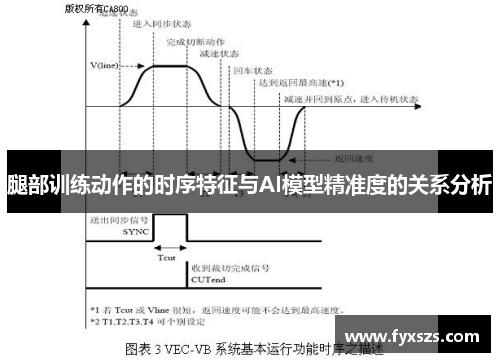 腿部训练动作的时序特征与AI模型精准度的关系分析